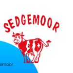 Customer Review Design - Made with PosterMyWall (3)